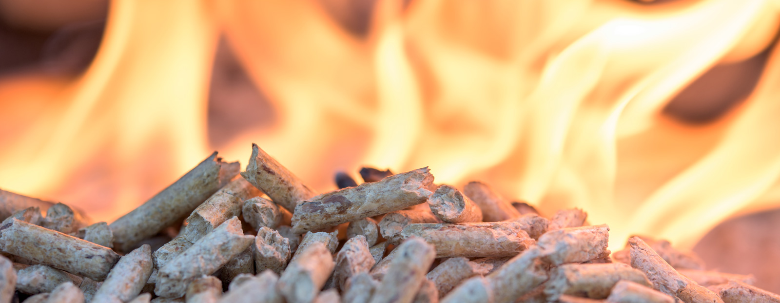 Referenzen Heizungsanlagen